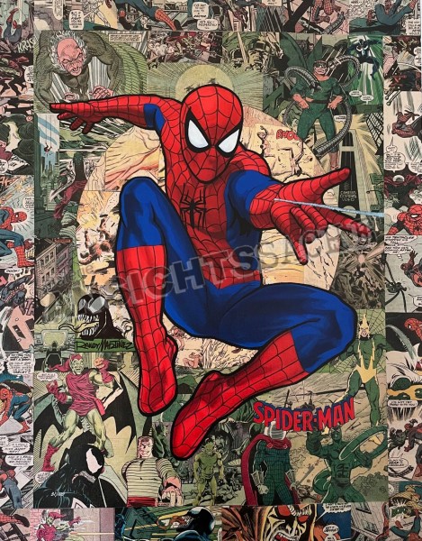 Marvel Comic-Leinwand &quot;Legacy Spider-Man&quot;