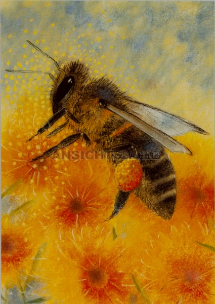 Postkarte &quot;Loes Botman - Abbildung II aus: Klein insectenboek&quot;