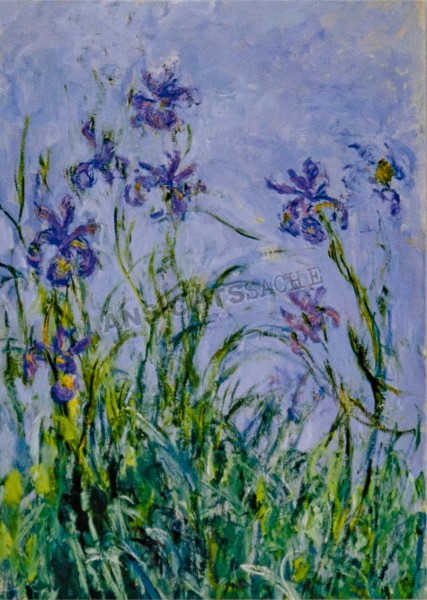 Postkarte &quot;Claude Monet - Malvenfarbene Iris&quot;