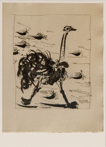 Postkarte &quot;Pablo Picasso - Strauß/Ostrich&quot;